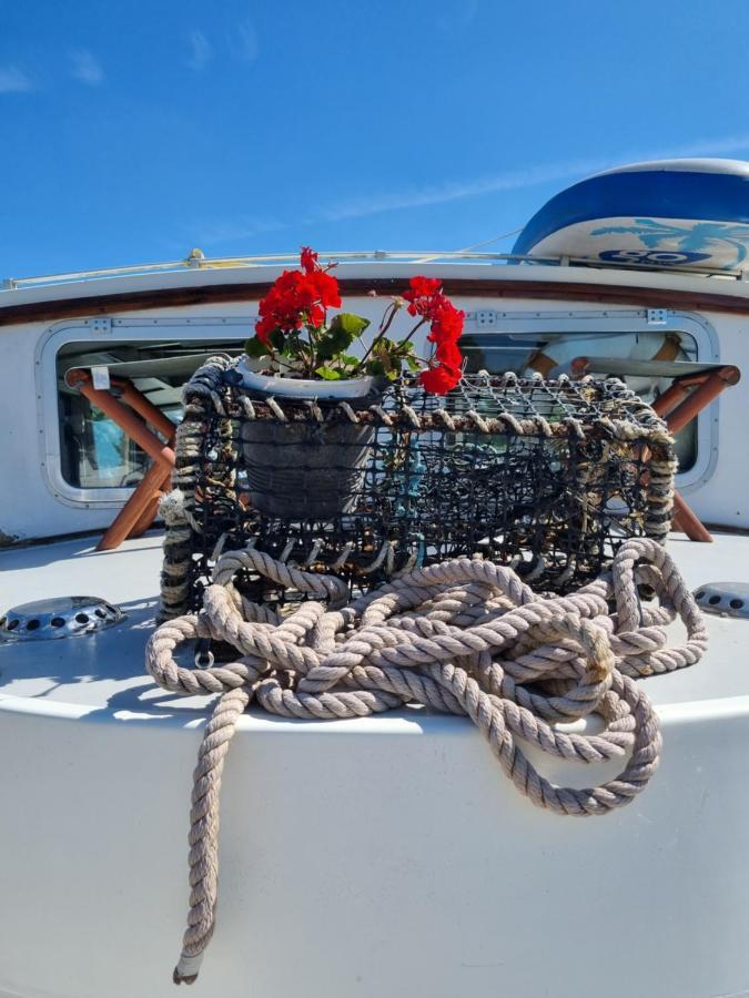 Traditional Boat Hotel Thorpe  Bagian luar foto